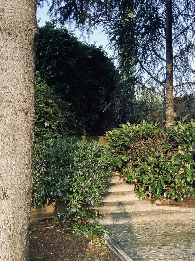 Villa Cipriano Minturno Bagian luar foto