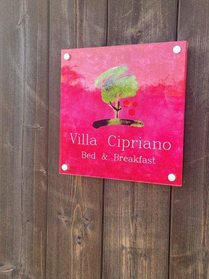 Villa Cipriano Minturno Bagian luar foto